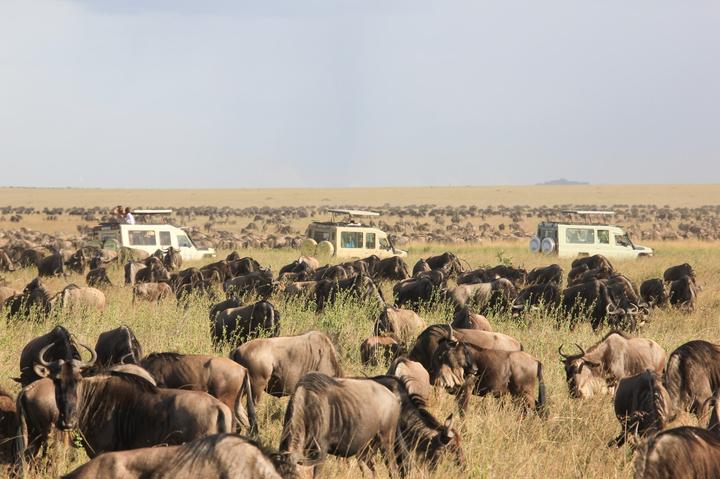 The great migration 